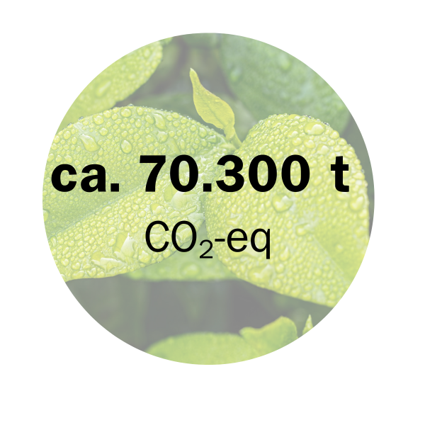CO2 Einsparung unserer Projekte 16.030,84 t CO2-eq